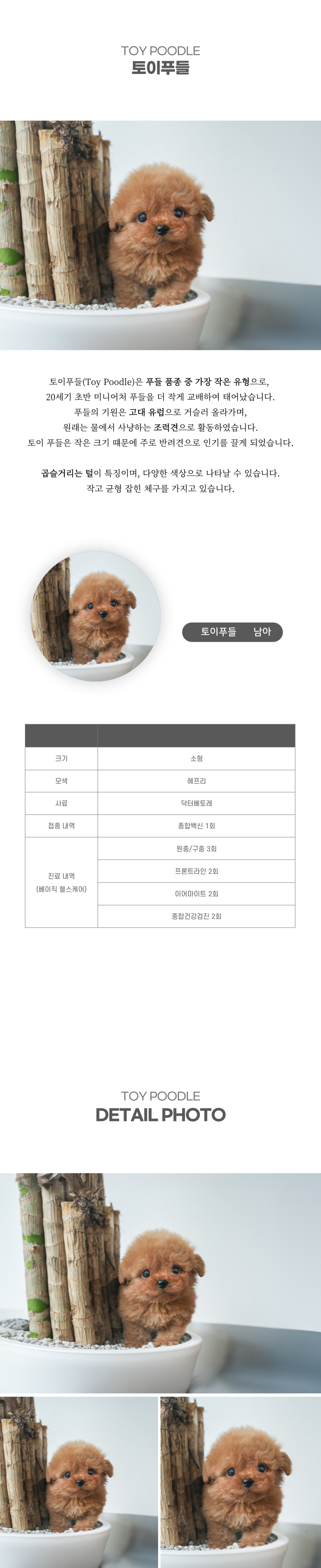 토이푸들_상세이미지_2